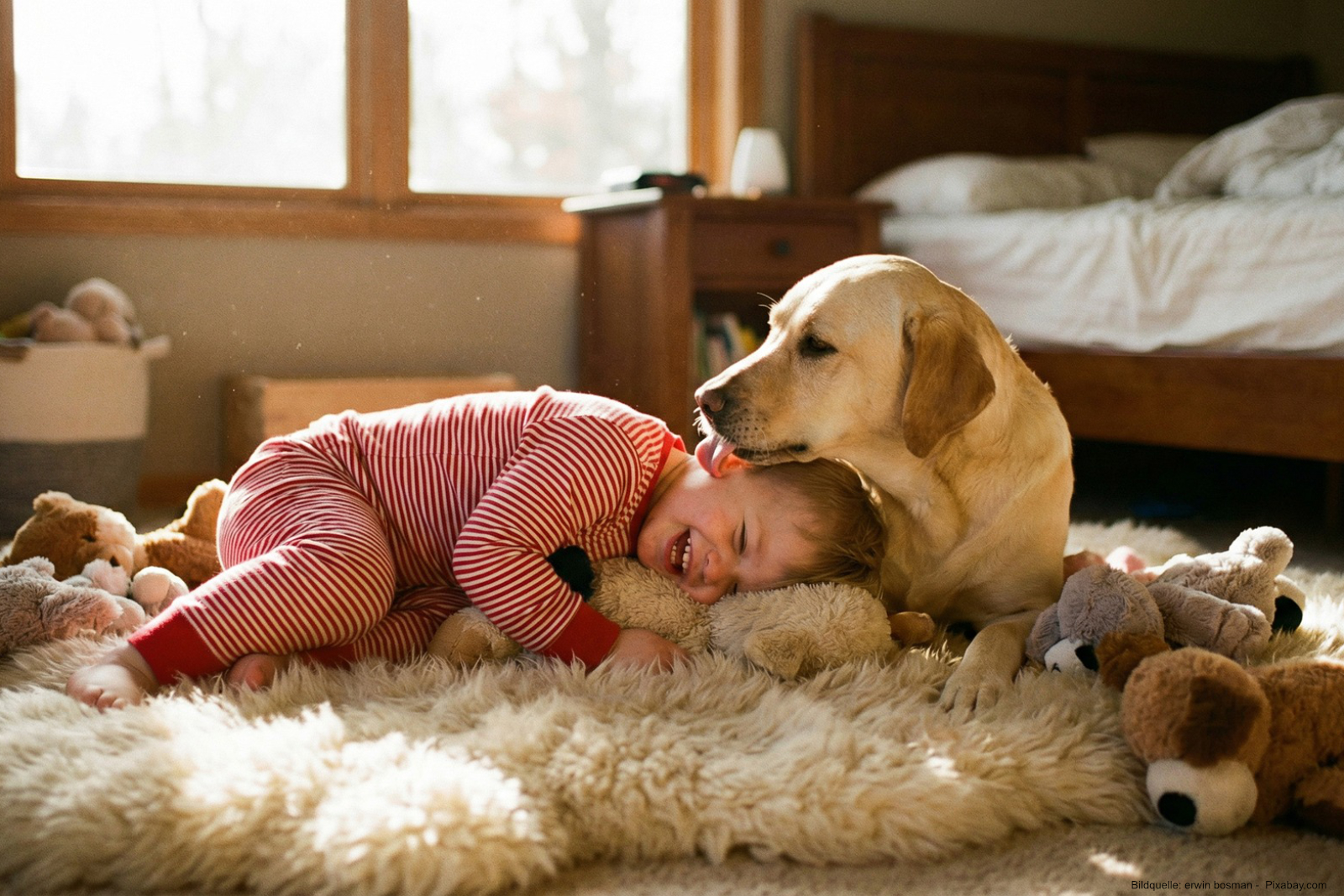 Haustiere für Kinder mit Allergien: Sind Hund und Katze ein Risiko.